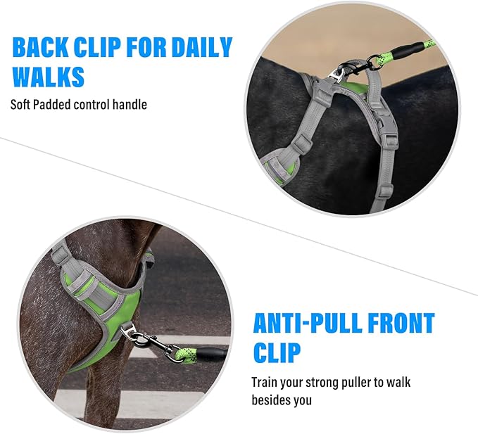 Plutus Pet No Pull Dog Harness, Release at Neck, Reflective Adjustable Dog Vest Harness, Easy Control Handle for Walking, for Small Medium Large Dogs, Green, M
