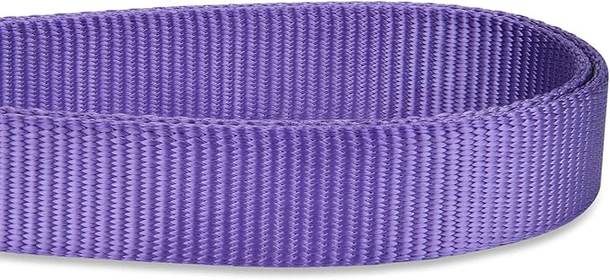 Hyhug Nylon Adjustable 4-6ft Dog Leash with Soft Neoprene Padded Handle, Durable Heavy Duty Leash with Easy-to-Use Bolt Snap, Ideal for Jogging Outdoor