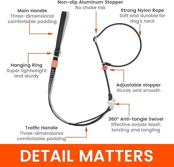Slip Lead Dog Leash with Double Handles | Reflective Dog Training Lead with 360° Swivel Anti-Tangle | Heavy-Duty Leash and Collar for Large Medium and Small Dogs No-Pull Walking (Green, 5.5FT)