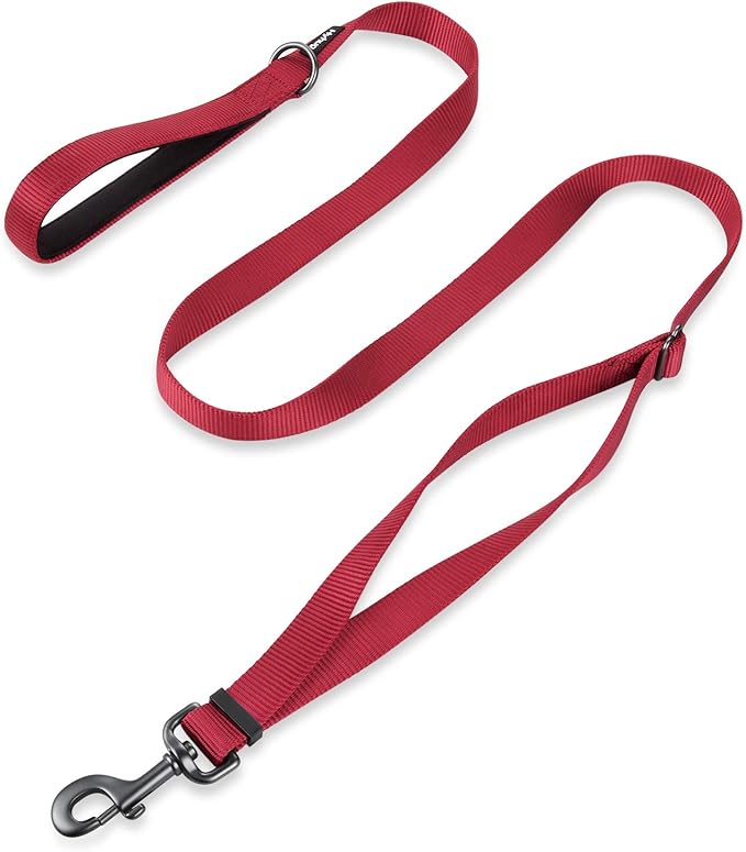Hyhug Nylon Adjustable 4-6ft Dog Leash with Soft Neoprene Padded Handle, Durable Heavy Duty Leash with Easy-to-Use Bolt Snap, Ideal for Jogging Outdoor