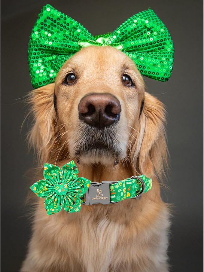 Lionheart glory St. Patrick's Day Dog Collar with Flower Dog Collars for X-Large Dogs,Heavy Duty Green Collars Bows Lucky Clover Shamrock Pet Collar Flower Puppy