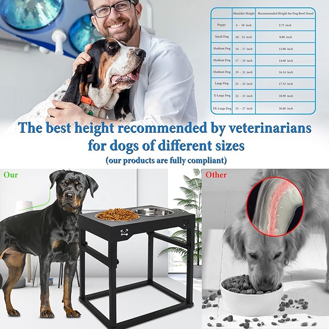 Elevated Dog Bowls, Adjustable Stainless Steel Bowls for Large, X/XL, Medium, Small Sized Dogs, Nonslip, 2 in 1