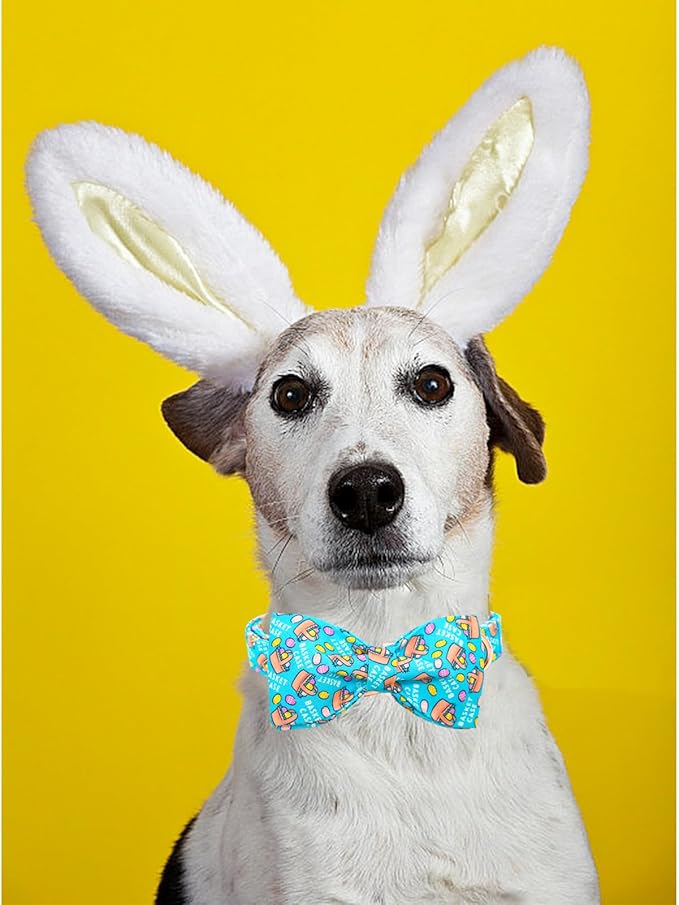 Lionheart glory Dog Bow Collar Easter Day Dog Collar for Medium Dogs,Easter Egg Dog Collars with Bowtie Colorful Dog Collar Spring Collars Pet Collar Bows