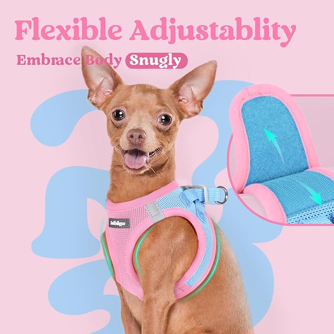 rabbitgoo Small Dog Harness, Step-in Soft Mesh Puppy Vest with Safety Buckle, Breathable Reflective Pet Harness for Small Sized Dogs, Blue & Light Pink XS