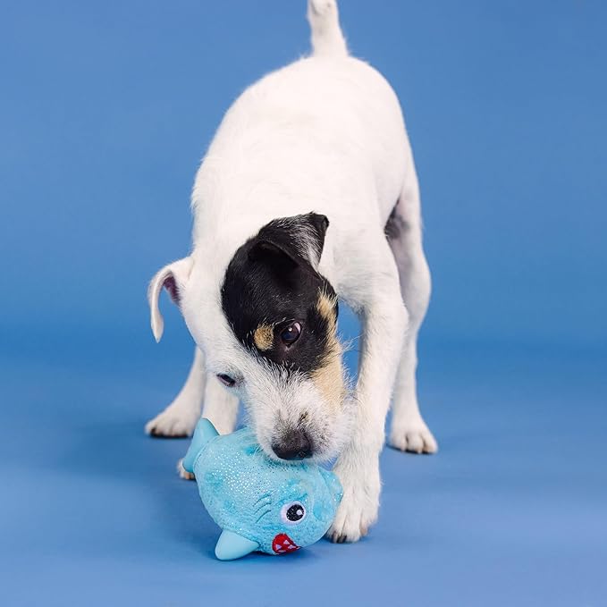 Fringe Studio Out of The Blue Rubber Dog Toy with Plush Exterior, Pet Shop Collection (519018)