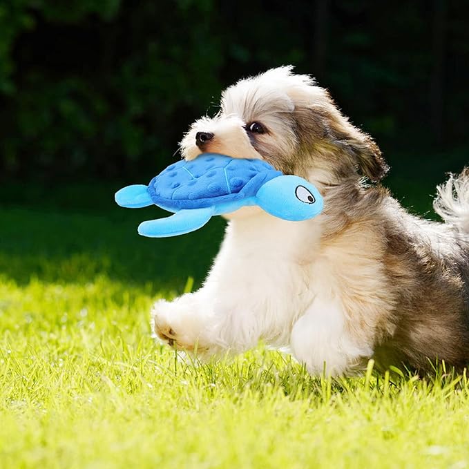 Squeaky Sea Turtle Plush Dog Toy - Durable, No Stuffing, Interactive Chew Toy for Small Dogs - Relieve Anxiety, Teething, and Keep Them Busy for Puppy(Blue)