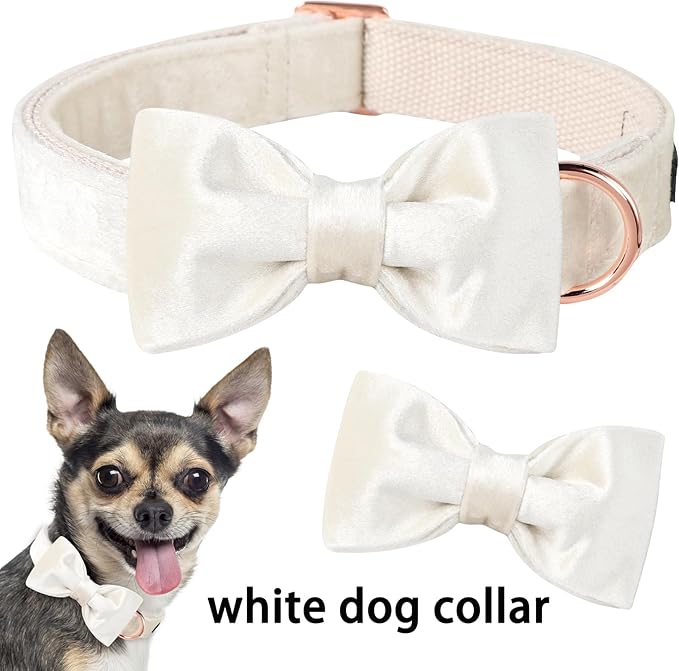 ARING PET Bowtie Dog Collar-Velvet Dog Collars with Detachable Bowtie, White Wedding Soft Dog Collar,Medium.