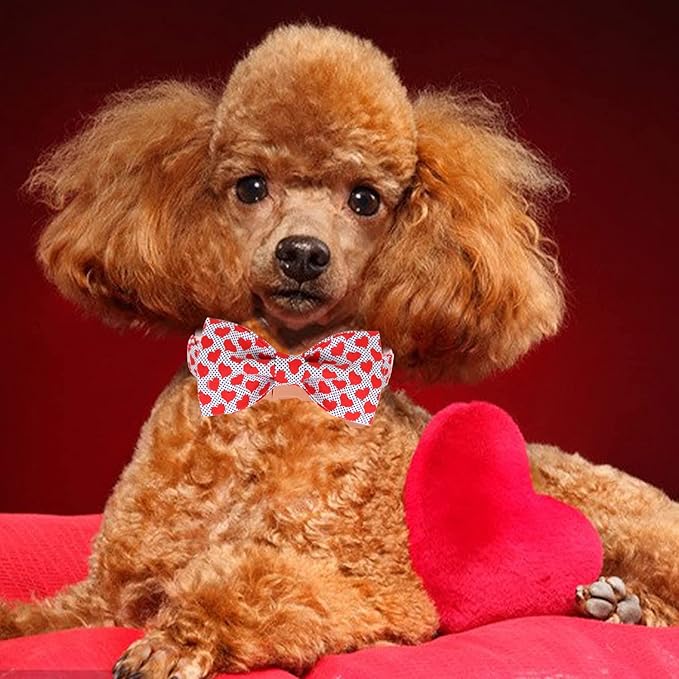 DOGWONG Valentine's Dog Collar with Bowtie - Red Heart Adjustable Cotton Heart Dog Collar - Perfect for Small, Medium, Large Dogs