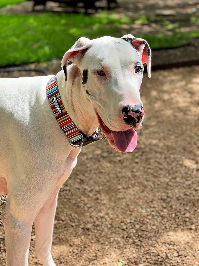Lucky Love Dog Wide Dog Collar - Adjustable, Durable, Soft Webbing, & Comfortable 1.5 inch Wide Collar for Dogs Male and Female with Strong Buckle - Hippie, X-Large