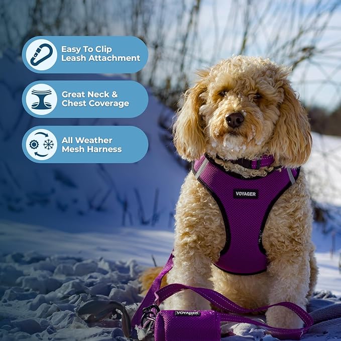 Best Pet Supplies Voyager Step-in Air Harness - All Weather Mesh, Reflective, No Pull Harness for Dogs, Cats - Secure with Hook & Loop Fastener, Buckle, Double D-Rings - Purple/Black Trim, S