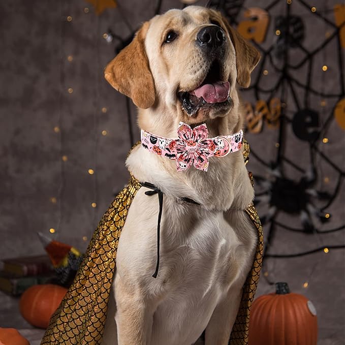 Elegant little tail Dog Collar with Flower, Fall Dog Collar Halloween Pumpkin Flower Collar Dog Girl Pet Collar Dog Collars for Large Dog