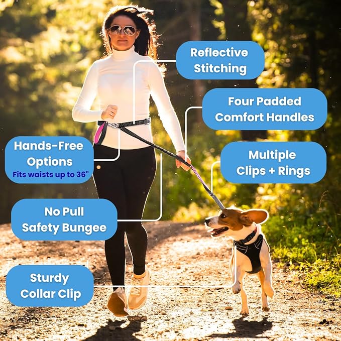 No Pull Dog Leash for Large Dogs – 6ft Highly Reflective Bungee, Heavy Duty Leash for Large Dogs, 4 Padded Handles, Strong Carabiner Clip & Rings, Includes Poop Bag Holder & Treat Pouch (Orange)