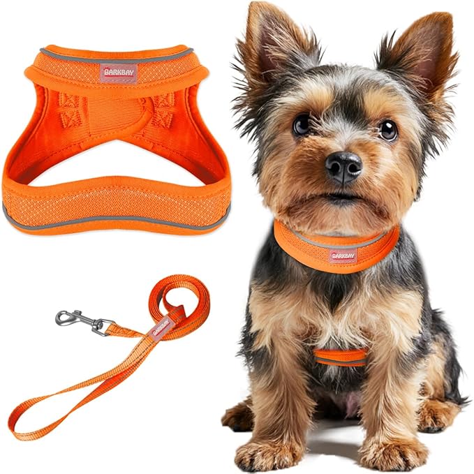 Dog Harness and Leash Set,Step in Small Sized Dog Harness,Soft Mesh,No-Chock,Reflective Adjustable,Secure with Hook & Loop Fastener,Puppy Vest for Small,Medium Dogs(Orange,XS)