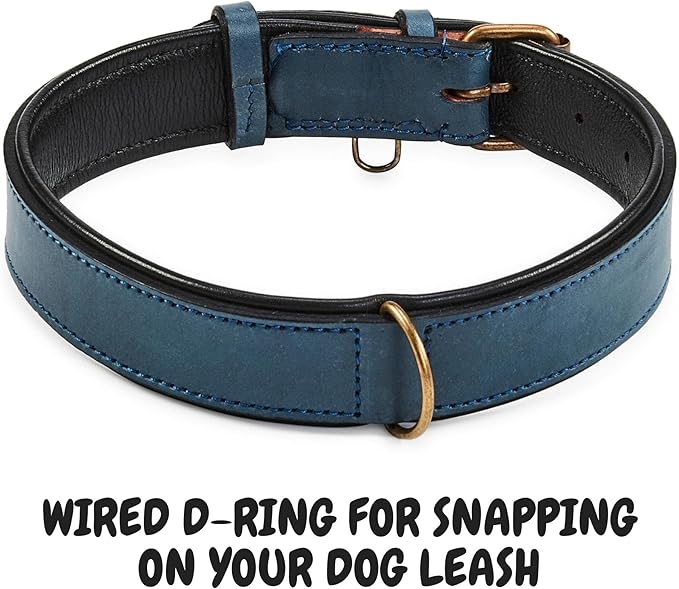 Real Leather Dog Collar Padded Soft Interiors with Premium Vintage Look Handcrafted Heavy Duty with Tag Ring for Small Medium and Large Pets (Large (1.5" Wide for 16.5" - 20.5" Neck), Ocean Blue)