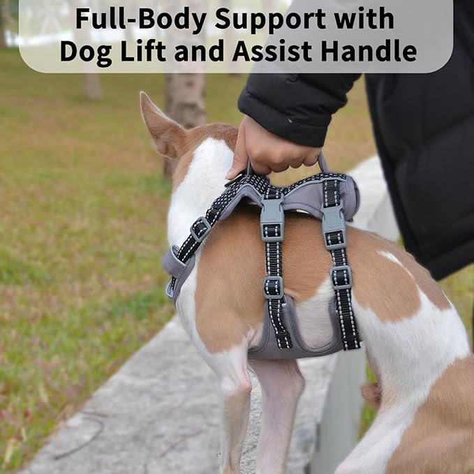 Huntboo Reflective Dog Harness with Handle, Escape Proof, No Slip, Breathable, Lightweight, Adjustable Lift Harness for Small, Medium, and Large Dogs Walking, Training, and Running Gear(Black,L)