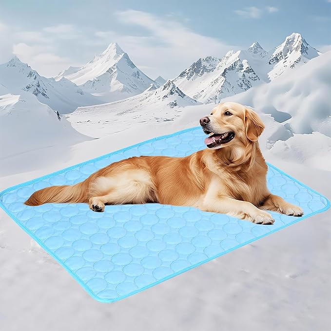 Dog Cooling Mat - 40" x 28" Washable Instant Cooling Pet Pad for Dogs & Cats, Pet Sleeping Bed for Indoor Outdoor in Summer, Portable Non-Toxic Kennel Puppy Crate Pad, Blue (M(25'' x 20''))