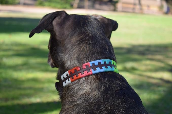 Gaucho Goods Tribal Leather Dog Collar - Zephyr (XL)