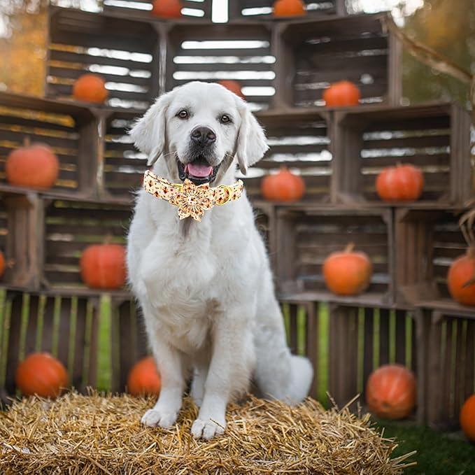 Elegant Thanksgiving Turkey Print Dog Collar with Flowers for Medium Dogs