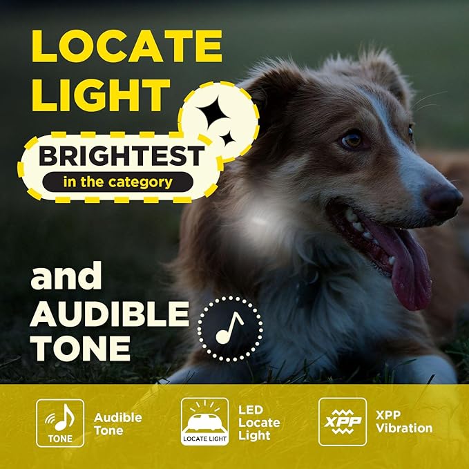 Dogtra 200iQ Remote Training E Collar – 100 Levels, Tone, Vibration, 1/2 Mile Range – Compact, Waterproof, One-Handed Control for Dogs 10 lbs+ – Lightweight Design for Daily Training – Cafe Swirl