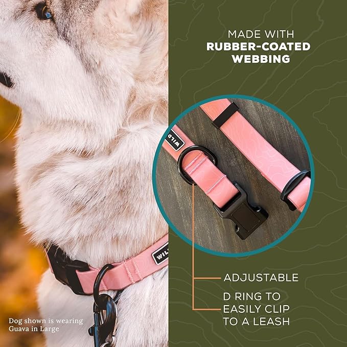 Wilderdog Waterproof Dog Collar - Repels Water & Dirt - Large 17"-24" - Guava