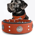 Leather Dog Collar, 2 inches Wide Heavy Duty Genuine Leather Collars, Handmade, Soft, and Luxury, Eye-catching Best Choice for Large and Medium Breed Dogs, Orange 15-19 ins