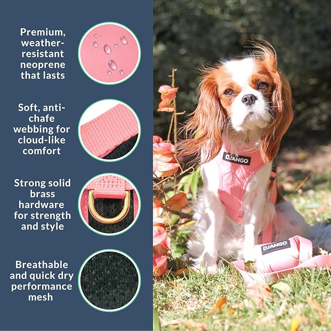 DJANGO Adventure Dog Harness - Stylish, and Durable Medium Dog Harness for Outdoor Adventures and Everyday Wear - Quartz Pink Neoprene Adjustable Harness for Dogs with Reflective Piping, Brass D-Ring