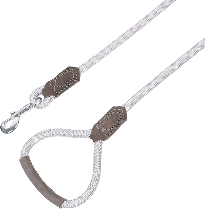 Mile High Life | Premium Leather Dog Leash | Strong Rope Leash | Leather Handle | Zinc Alloy Strong Clasp | Small Medium Large Dogs | 4/5/6 Feet(Sliver, 48 Inch (Pack of 1))