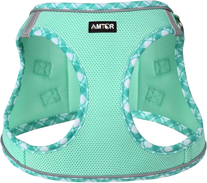AMTOR Small Dog Harness with Leash Set, No Escape Easy Walk Puppy Harnesses for Training Walking, Step-in Reflective Soft Dogs Vest for XS S Medium Extra-Small Large Sized Dog(Green,L)