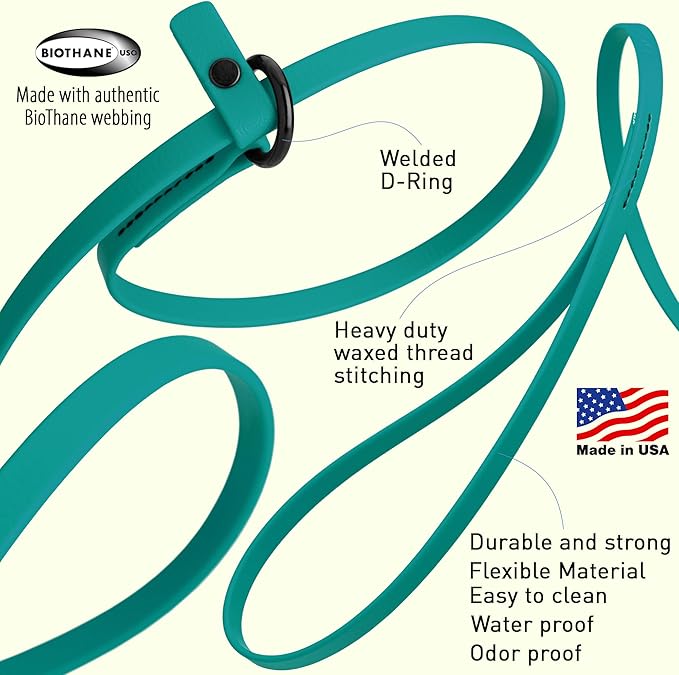 Dogline Biothane Slip Dog Leash - for Small, Medium and Large Dogs - Odor Free Slip Lead, Heavy Duty and Durable Material Kennel Lead - Blue Aqua - 5ft L x 3/8in W