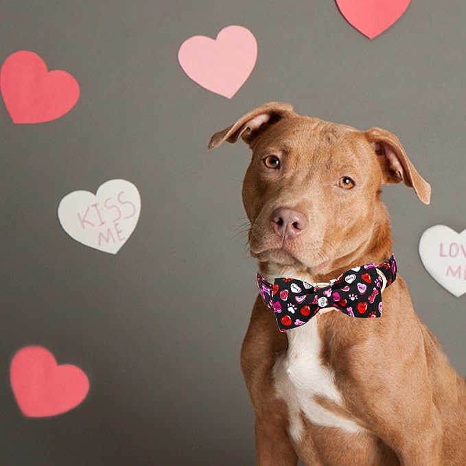 Elegant little tail Valentine's Dog Collar，Cute Heart Dog Collar with Bow for Small Dogs, Female or Male Adjustable Cotton Pet Collar Puppy for Small Medium Large Dogs