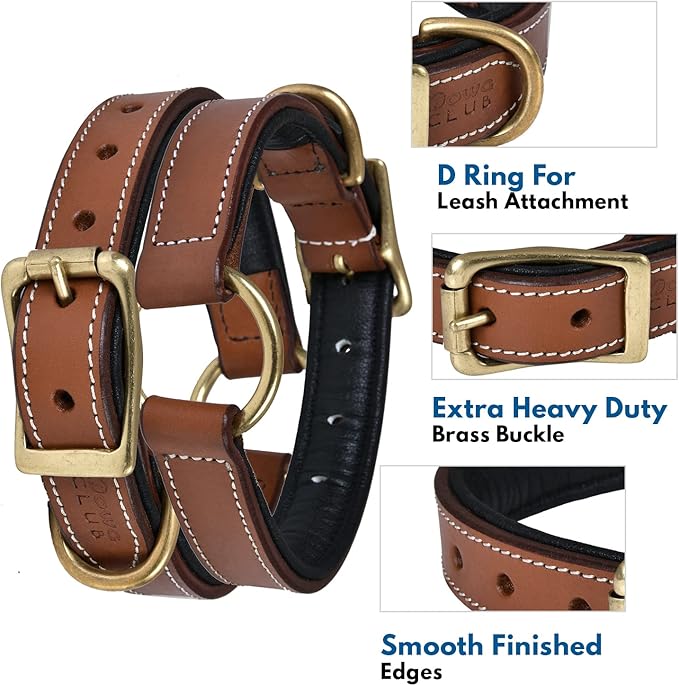 | Genuine Leather Adventure Dog Collar | Full Grain, Heavy Duty | With inner Cushioned padding | Best for Medium, Large & XL Dogs (Large (Fit Neck Size 18.5"-22.5"), Brown With Center O Ring)