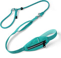 Dog Slip Lead Dog Leash, Heavy Duty No-Pull Training Leash w/Poop Bag Holder, Anti-Tangle, Multi-Handles & Reflective Thread for Small, Medium Dogs 4FT Cyan