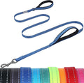 VIVAGLORY Twingrip Dog Leash, Double Handle Dog Leash for Training & Walking with Traffic Handle & 2 Loop, Traffic Control Reflective Heavy Duty for Puppy Pet, 6ft x 1/2in, Blue