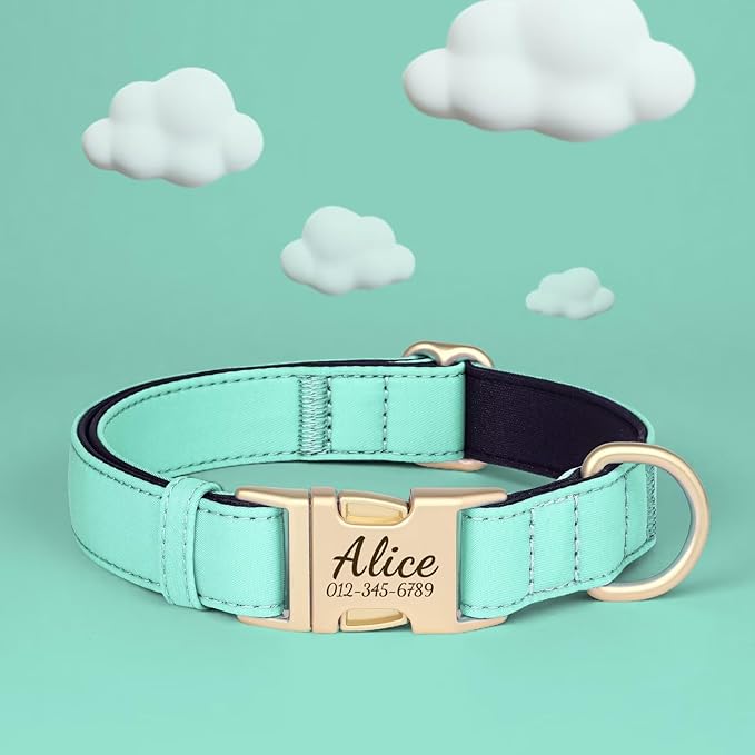 PET ARTIST Colorful Personalized Dog Collars, Custom Dog Collar with Silent Engraved ID Tag, Lightweight Breathable Nylon & Soft Padded, Matching Leash & Poop Bag for Small Dogs,Green,Fit 10-15"