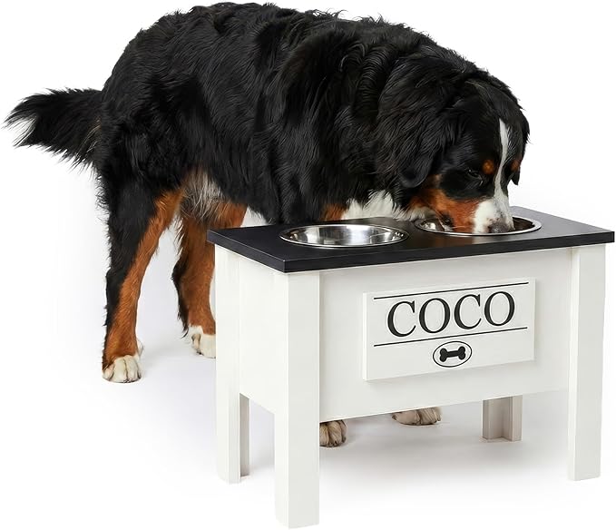 GTW Personalized Elevated Dog Bowl Stand for Large, Medium, Small, X-Small Dogs - Stainless Steel Food and Water Bowls - Raised Dog Dish (X-Large, Black)