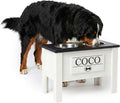 GTW Personalized Elevated Dog Bowl Stand for Large, Medium, Small, X-Small Dogs - Stainless Steel Food and Water Bowls - Raised Dog Dish (X-Large, Black)