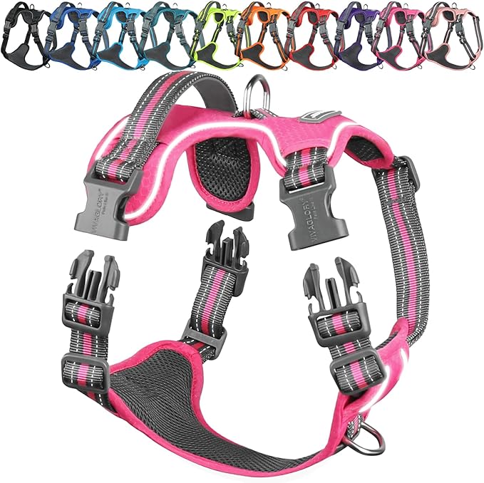 VIVAGLORY Dog Harness Easewalk No Pull Dog Harness with Handle Front Clip & Back Clip for Training Walking Lifting, No Pull Adjustable Easy On Padded Comfortable for Pet, XS, Pink - Patterned