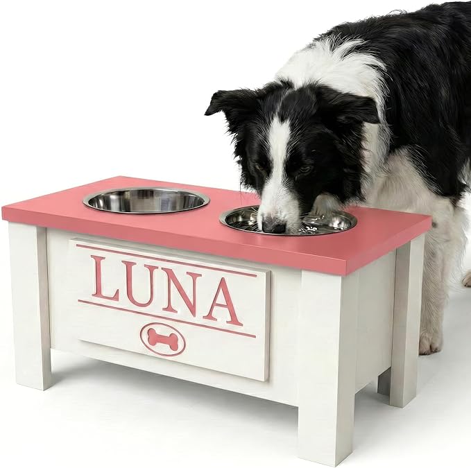 GTW Personalized Elevated Dog Bowl Stand for Large, Medium, Small, X-Small Dogs - Stainless Steel Food and Water Bowls - Raised Dog Dish with Internal Storage (Medium, Magenta)