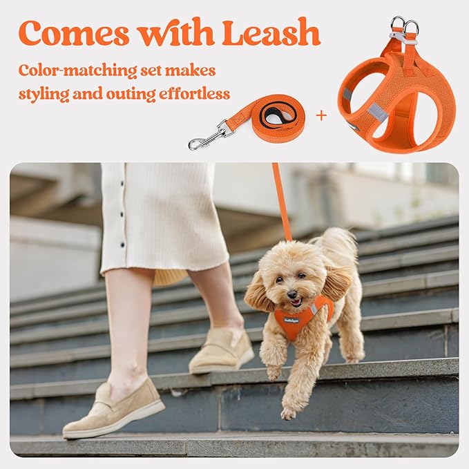 rabbitgoo Dog Harness Small Sized and Leash Set, Step in Soft Light Puppy Vest, Breathable Mesh Pet Harness, Reflective for Safe Easy Walking, Orange XS