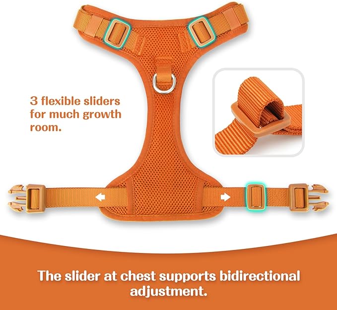 No Pull Dog Harness for Small Medium Large Dogs - Adjustable 2 Layer Mesh Dog Vest with Dual Clip, Escape Proof, Quick Release, Lightweight Breathable Mesh for Walking Hiking (Orange,XL)
