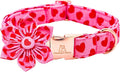 Lionheart glory Valentine's Day Dog Collar with Flower Dog Collar for X-Small Dogs, Soft Adjustable Hearts Dogs Collars Spring Pet Collars Flower Puppy
