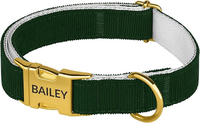 Personalized Dog Collar with Gold Metal Buckle, Velvet Custom Dog Collars for Small, Medium & Large Dogs – Puppy Collars with Metal Buckle, 4 Sizes, 8 Colors (Green, XL, 19"-24")