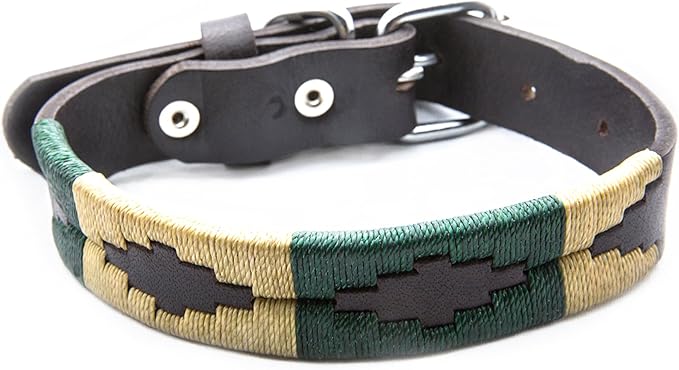 Leather Palm Desert Dog Collar by Gaucho Goods
