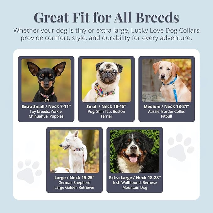 Lucky Love Dog - Easy Click Buckle Dog Collar with Leash Set Combo, Durable & Comfortable for Male & Female Dogs, Pet Collar for Large Dogs, Secure Fit - Bailey Combo, Large