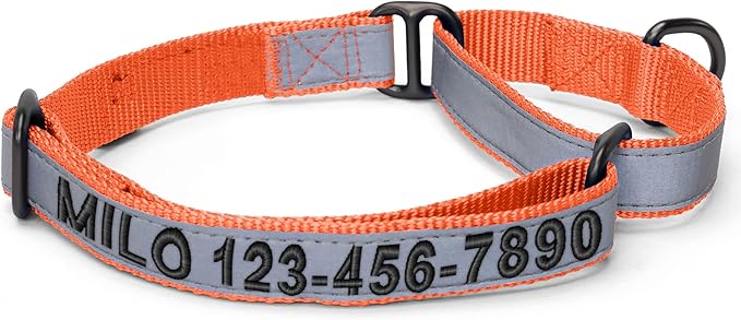 Pawtitas Customized Martingale Dog Collar Reflective Reflective Dog Collar Embroidered Personalized Name Phone Number Adjustable for Puppies Small Medium Large Size Dogs Medium Orange