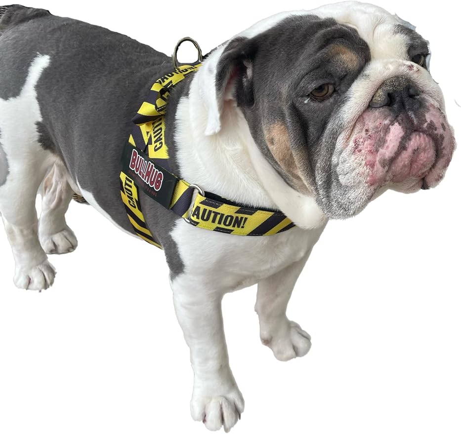 BULLHUG Adjustable Dog Harness– No Pull, No Choke – for English Bulldogs, French Bulldogs, Pugs & Broad-Chested Breeds – Easy, Safe Walks (Caution, XL)