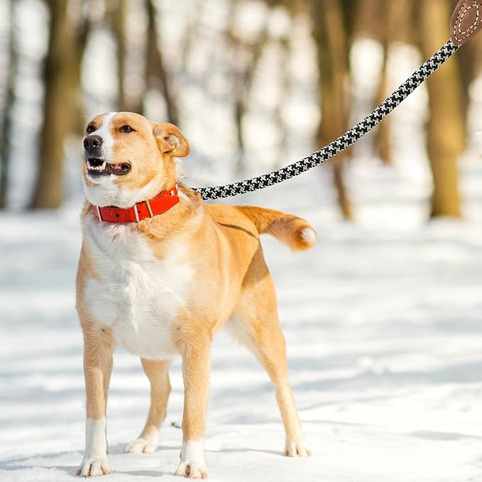 Mile High Life Rope Leash with Genuine Leather Connection, 6 FT/5 FT/4 FT, Heavy Duty Leash for Medium & Large Dogs (Black Khaki, 60 Inch)
