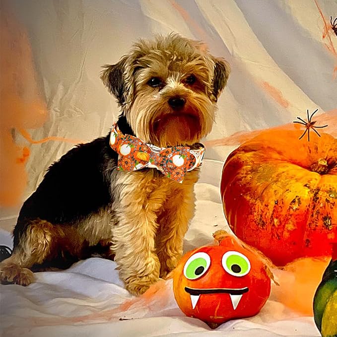 Elegant little tail Halloween Dog Collar, Pumpkin with Flower Print Halloween Pet Collars Puppy Collar with Bow Cute Adjustable Collars for Small Medium Large Dogs
