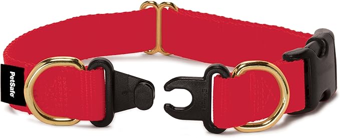 PetSafe KeepSafe Collar for Dogs - Protects Against Collar Accidents - Long Lasting - Durable - Adjustable - Breakaway - Outdoor-Safe - Large - 1 in. Wide - Red