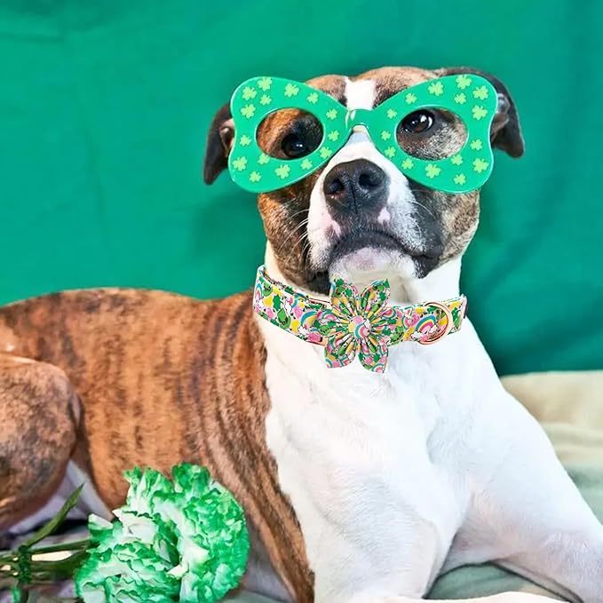 Elegant little tail St. Patrick's Dog Collar, Green Clover Dog Collars Cute Pet Gift Cute Puppy Flower Adjustable Pet Collars for X-Small Dogs